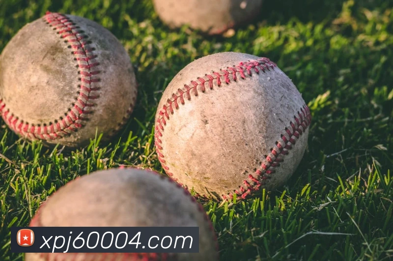 新葡京娱乐城官网平台生态图