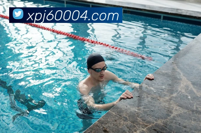 新葡京娱乐城官网APP 封面图